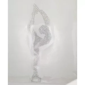 Transfert Patinage 6