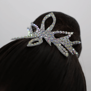 Couronne à chignon
